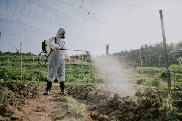 Best Best Pest Control Companies  in Fisher, IL