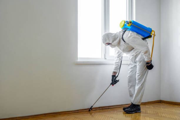 Best Wasp Removal Services  in Fisher, IL