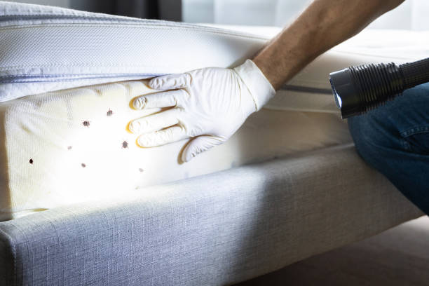 Best Pest Control Near Me  in Fisher, IL