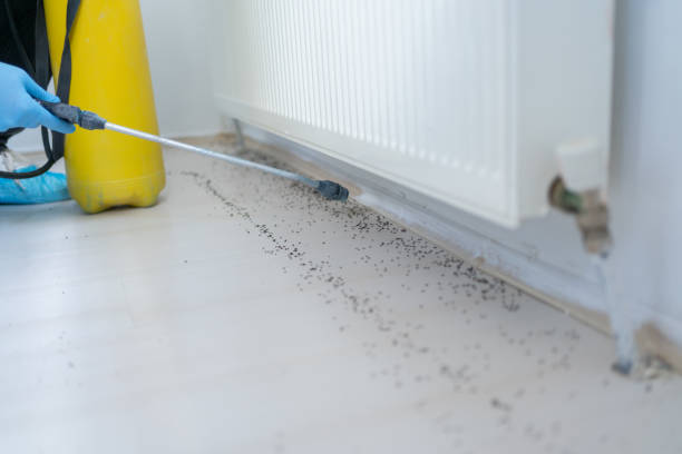 Best Rat Extermination Near Me  in Fisher, IL