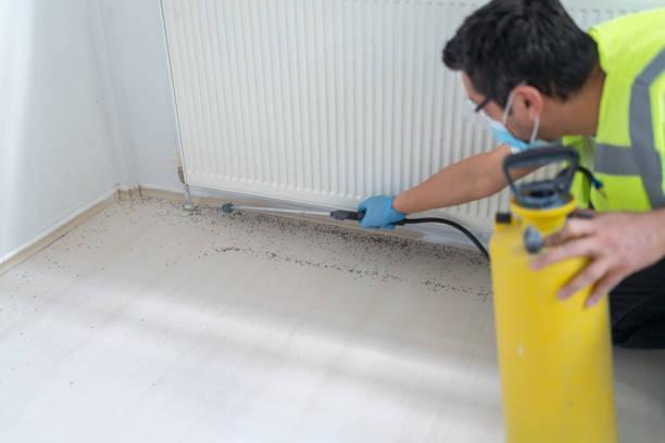 Best Pest Control Near Me  in Fisher, IL
