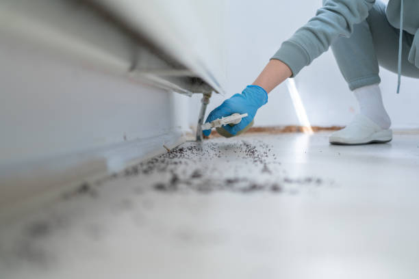 Best Affordable Pest Control Services  in Fisher, IL