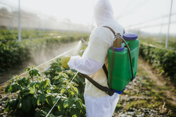 Best Wasp Removal Services  in Fisher, IL